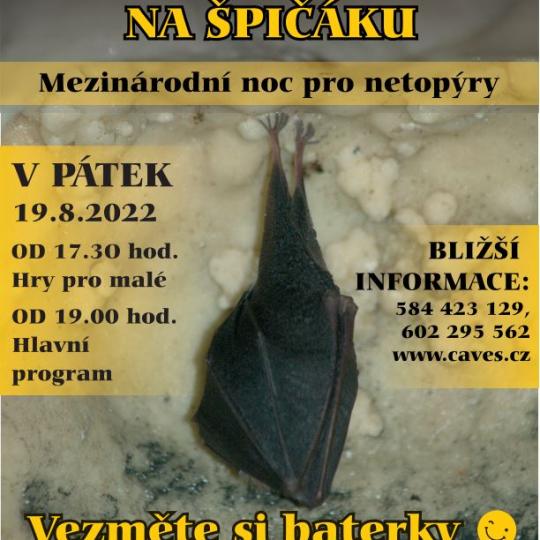 Mezinárodní noc pro netopýry 1
