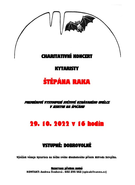 Charitativní koncert kytaristy Štěpána Raka 2