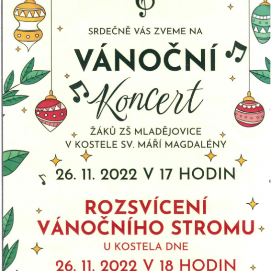 Vánoční koncert  1