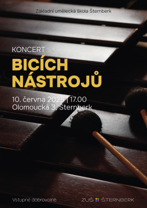 ZUŠ: Koncert bicích nástrojů 2
