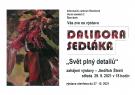 Výstava fotografií Dalibora Sedláka: Svět plný detailů 2